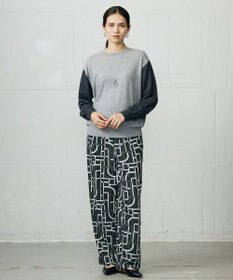 自由区 L 【カタログ掲載】ファインウールカシミヤクルーネック ニット