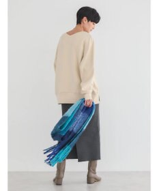 AMERICAN HOLIC バックＶラグランスウェット