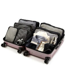 ACE BAGS & LUGGAGE World Traveler ボトムベイ スーツケース 53リットル 3~5泊 3.9kg キャスターストッパー 双輪キャスター 06952 ワールドトラベラー キャリーケース