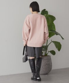 AMERICAN HOLIC FREMONT ロゴスウェットプルオーバー