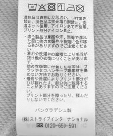 AMERICAN HOLIC FREMONT ロゴスウェットプルオーバー