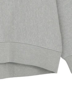 AMERICAN HOLIC FREMONT ロゴスウェットプルオーバー