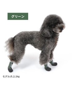 PET PARADISE ペットパラダイス フィットシューズ 【３Ｓ】 グリーン ブラウン