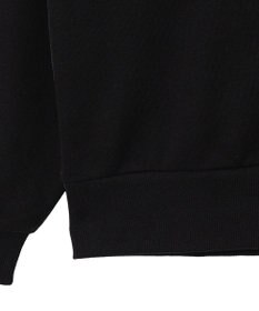 WEGO グラフィックハーフジップビッグスウェット