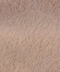 ANY ファーティペット