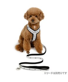 PET PARADISE Lee ロゴ アクティブ ハーネス ＳＳ 小型犬