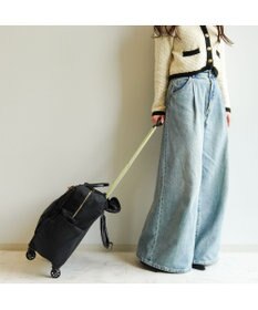 ACE BAGS & LUGGAGE Jewelna Rose アメリー カジュアルトローリー 31591 ジュエルナローズ 機内持ち込み