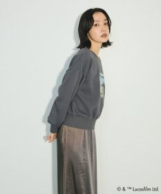 Green Parks ＳＴＡＲ　ＷＡＲＳ／オフショルスウェット