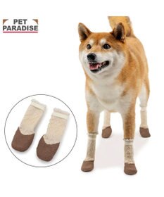 PET PARADISE ペットパラダイス フリル フィット靴 ＳＭ