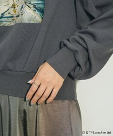 Green Parks ＳＴＡＲ　ＷＡＲＳ／オフショルスウェット