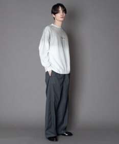 WEGO ワンポイントT（LS）