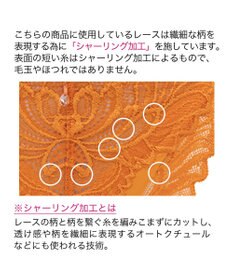 BRADELIS New York 【BRADELIS New York】　サポートバックラインスタイルパンティ23A1