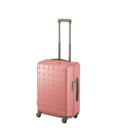 ACE BAGS & LUGGAGE Proteca 360G4 スーツケース 日本製 53L 02422 プロテカ