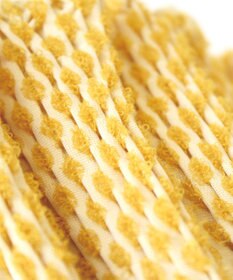 槇田商店 菜-sai- とうもろこし　日傘