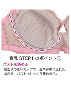 BRADELIS New York 【BRADELIS New York / 育乳補整ブラ・STEP1 集める】ジャスミンステップ1ブラ24S2