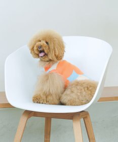 COQ LINE DOTS ドットドッグウェア