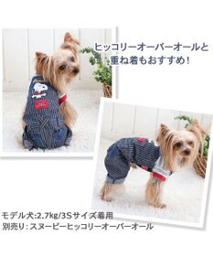 PET PARADISE 犬の服 犬 スヌーピー トレーナー 【小型犬】 ボーダー