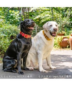 PET PARADISE ペットパラダイス ソフトレザー首輪 《ブルックレッド》 Ｌ