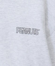 Green Parks ■ＰＥＡＮＵＴＳ　コミックロンＴ