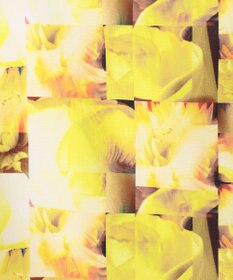 23区GOLF 【WOMEN】23区GOLF×PLANTICA 総柄スカート