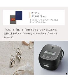 PRESENTERS ROOM Mistral(ミストラル) e-order choice(カードカタログ) ＜York(ヨーク)＞