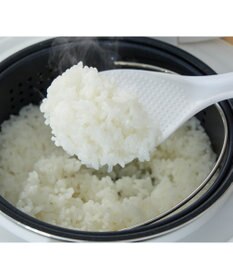 YAMATO テーブル＆キッチン 【AL COLLE】糖質カット炊飯器  ARC-L3101/W