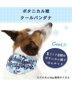 PET PARADISE クールネック バンダナ 《シフォン襟／しろくま／ボタニカル》 保冷剤付き 【小型犬】