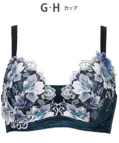 Wing ブラジャー コンパクトにバストメイク ラクなつけごこち 【小さく見せるブラ】 Hカップまで対応 大きいサイズ PB2862 ウイング／ワコール