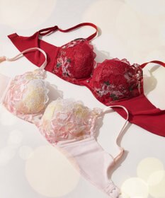 WACOAL 【ハグするブラ】 ブラジャー 体温を感知してカラダになじむ ハグシート 谷間メイク 脇高設計 ペアショーツあり ブラ レディース BRB488 /ワコール