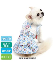 PET PARADISE ディズニー ミニー クール 天竺　ワンピース 小型犬