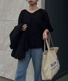 Green Parks AnriettMusee カットジャガードタックブラウス