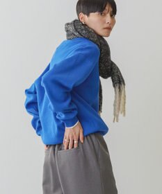 AMERICAN HOLIC スウェットライクニットプルオーバー