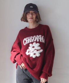 WEGO 【ユニセックス着用ITEM/MLサイズ展開/25年秋冬新作】ファジーグラフィックプルオーバー
