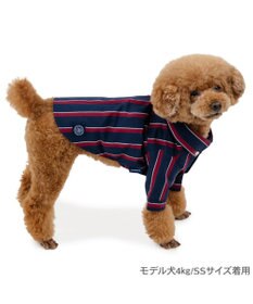 PET PARADISE J.PRESS レジメンタル シャツ 小型犬