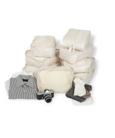 ACE BAGS & LUGGAGE proteca スタリアVsD スーツケース 104L キャスターストッパー 08215 プロテカ