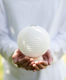 ちょうちん堂 【あかり道】〈手書絵付〉犬バラ ちょうちん ライト