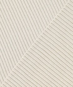 ANY 【洗濯機可】ボトルネック リブニット