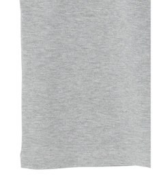 AMERICAN HOLIC Ｄａｉｌｙ！　クルーネック半袖カットプルオーバー2