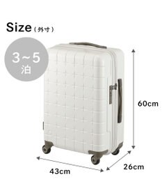 ACE BAGS & LUGGAGE Proteca 360G4 スーツケース 日本製 53L 02422 プロテカ