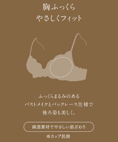 Wing Wing Lesiage　【2810シリーズ】　ブラジャー　ふっくらまる胸メイク　背中の段差軽減　ウイング／ワコール　PB2810