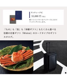 PRESENTERS ROOM Mistral(ミストラル) e-order choice(カードカタログ) ＜Antibes(アンティーブ)＞