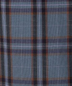 J.PRESS LADIES L プロビスストライプチェック フリルネック カットソー