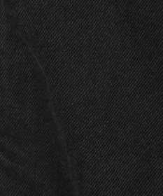 AMERICAN HOLIC WZIPデニムジャケット