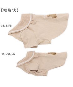 PET PARADISE ペットパラダイス くまちゃん襟 プレミアム ペティヒート Tシャツ 小型犬