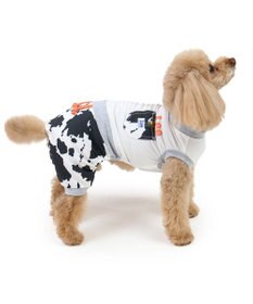 PET PARADISE Ｌｅｅ エコメイド 天竺 ロンパース 《牛柄》 小型犬