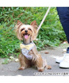 PET PARADISE スヌーピー リード&ハーネス 《パーティ柄》 3S 小型犬