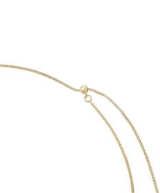 AMERICAN HOLIC ニュアンスリングスライドネックレス