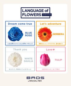 WACOAL MEN ブリーフ フロント立体設計 適度なフィット感（フロント部分） 前閉じ GF2220 /ブロス バイ ワコールメン