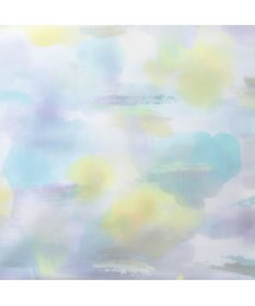 ACE BAGS & LUGGAGE W&.Day Night HaNT コラボ スーツケース 47L 05102 ダブルアンドデイナイト ハント