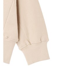 AMERICAN HOLIC バックＶラグランスウェット